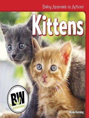 cover image of Kittens